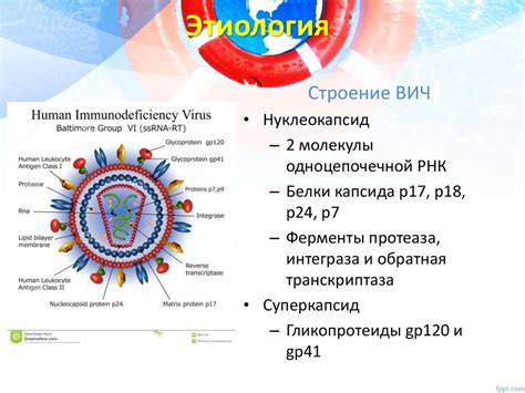 ВИЧ-инфекция - презентация онлайн