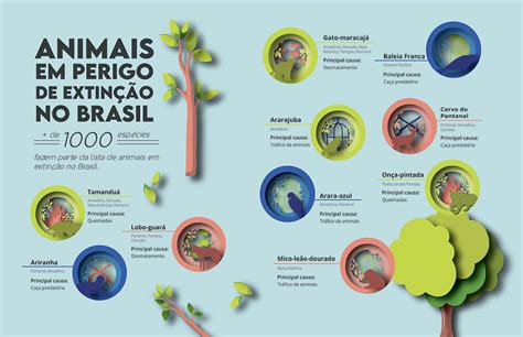 Infográfico Animais em perigo de extinção no Brasil Behance