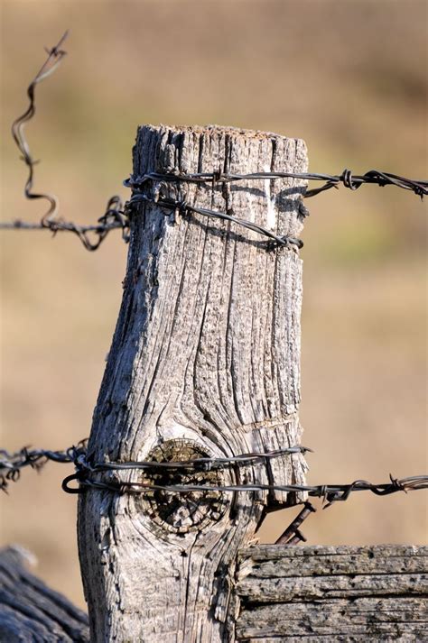 Landscape Paintings And Photographs Old Fence Post With Barbed Wire