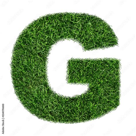 Letter Of Grass Alphabet Grass Letter G Isolated On White Background