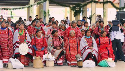 Primer Festival De Cultura Triqui En La Ciudad De M Xico