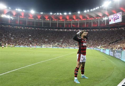 Soccer Libertadores Cup Editorial Stock Photo Image Of