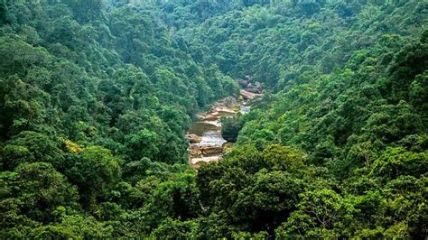 India Sees Small Rise In Forest Tree Cover But 1 020 Sq Km Of