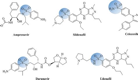 Structure of important sulfonamide‐based drugs | Download Scientific ...