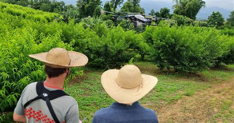 Benef Cios Dos Drones De Pulveriza O Para Sua Produ O Agr Cola