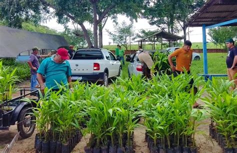 SEMAGRI REALIZA A ENTREGA DE MUDAS PARA PRODUTORES DA REGIÃO