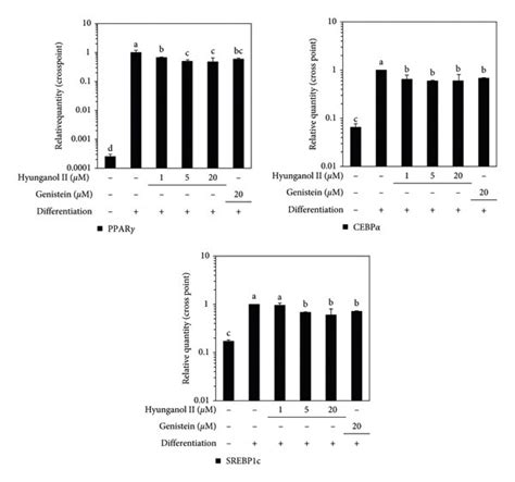 Effect Of Hng On The Mrna Expression Of Adipogenic Marker Genes Ppar