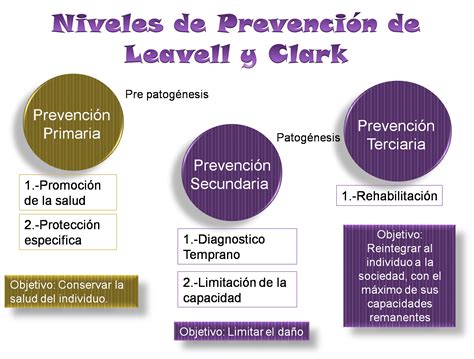 Enfermer A Comunitaria Niveles De Prevenci N