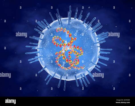 Estructura Del Virus De La Rubeola