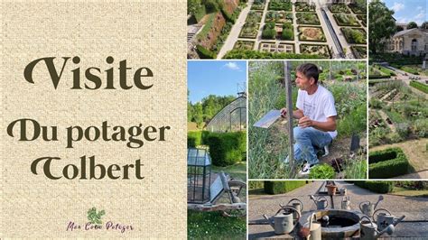 Visite Du Potager Colbert Maine Et Loire YouTube