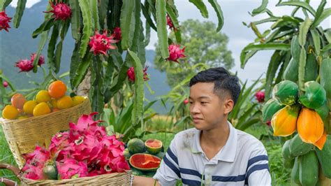 Full Video 365 Days Harvesting Red Dragon Fruit Guava Papaya To