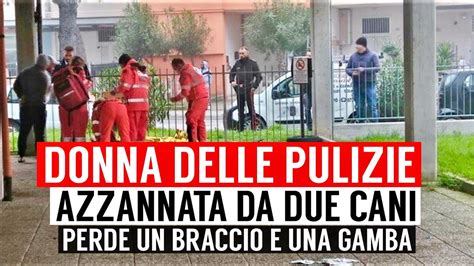 Donna Delle Pulizie Azzannata Da Due Cani Amputate Una Gamba E Un