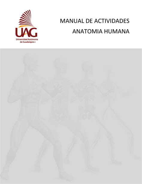 Anatomia Manual De Actividades De Anatomia Manual De Actividades