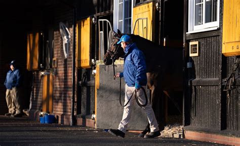 What He Has Achieved Is Pretty Significant Too Darn Hot Crowned Australia S Champion Second