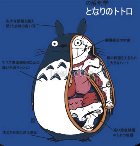 hpuy