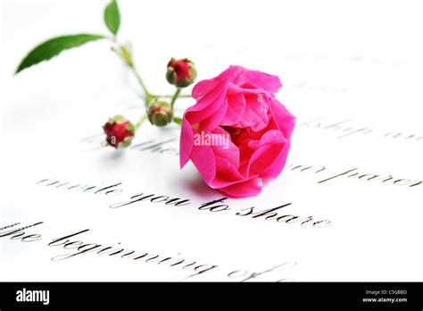 Vintage Handwriting Love Letter Cut Out Stock Images And Pictures Alamy