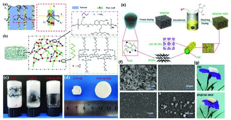 Fabrication Of Cnf Based Aerogels A D Cnf And Cnf Pei Aerogels A