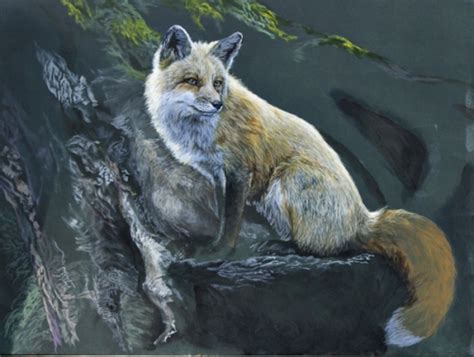 Red Fox Paintings By Laura Mark Finberg