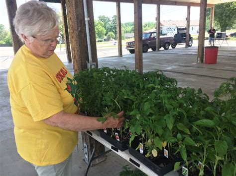 DeKalb Farmers Market to be Open Again Saturday, May 19 - WJLE Radio