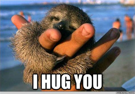 Cute Baby Sloth Meme