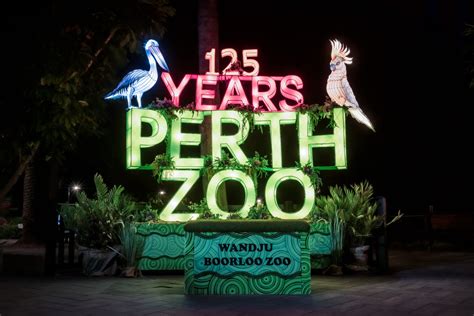 Spring Light Events At Perth Zoo Dec The Malls