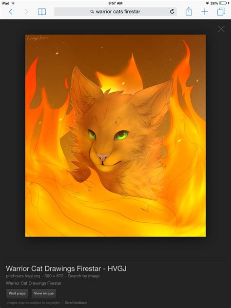 Firestar - WARRIOR CATS Photo (38556290) - Fanpop