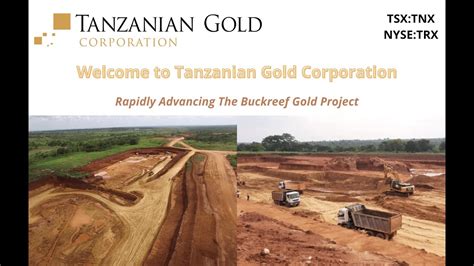 Tanzanian Gold Corporation Overview Youtube