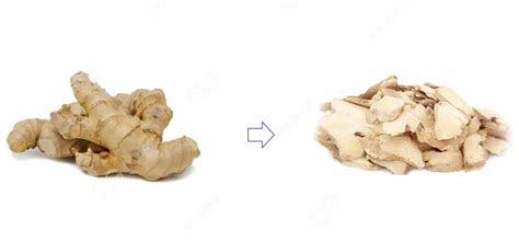 methods  drying ginger ginger processing expert