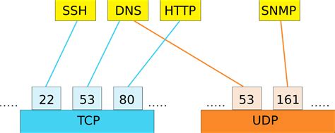 What Is The Difference Between Tcp And Udp Ports Infoupdate Org