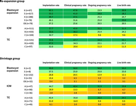 Assisted Reproductive Technology Outcomes Of Re Expansion And Shrinkage