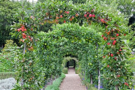 Vegetable garden trellis ideas: 18 ways to max your harvest | Homes & Gardens