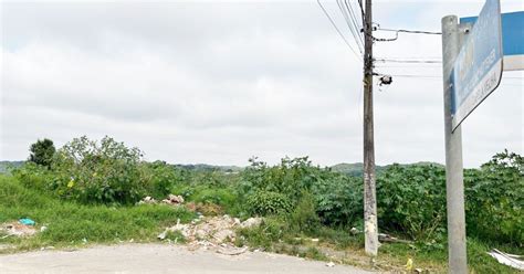 Lixo Em Terreno Baldio Tem Incomodado Moradores Do Jardim Arvoredo O