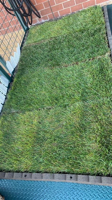 DIY Balcony Dog Potty Areas with Real Grass