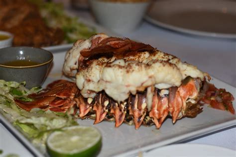 Cooking Lionfish - Lionfish Divers