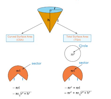 Solved The Formula To Find The Curved Surface Area Of A Right Circu