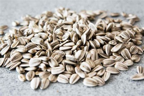 How To Harvest And Roast In Shell Sunflower Seeds Recipe