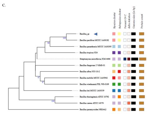 Microorganisms Free Full Text Antimicrobial Susceptibility Profile