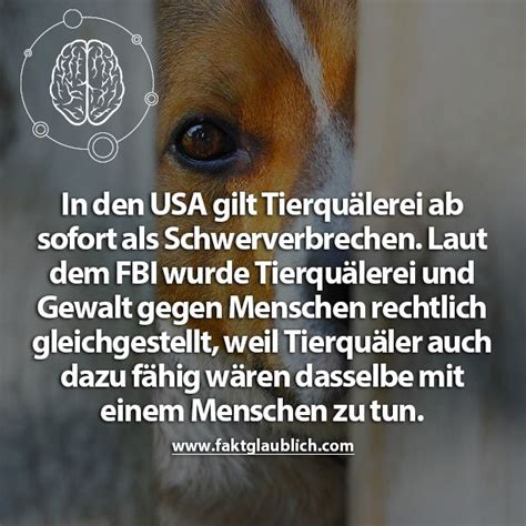 Pin von christel dünzl auf Tiere sind keine Gegenstände Sprüche