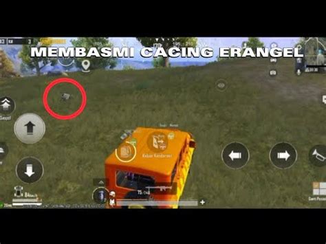 Cara Lawan Cacing Erangel Pubg Mobile Youtube