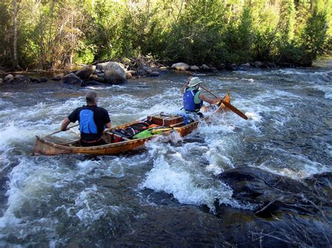 Gallery Natural Birch Bark Canoes