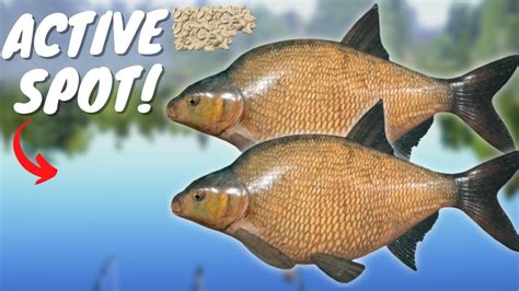 Active Bream Spot In Oldburg Lake Russian Fishing Youtube