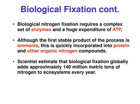 PPT - NITROGEN FIXATION PowerPoint Presentation, free download - ID:4437387