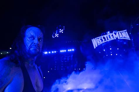 Undertaker retirement: 'No desire' for another WWE match