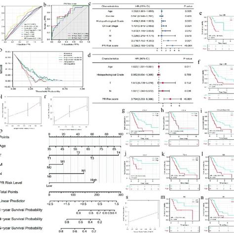 Construction Of Pyroptosis Related Risk Signature A The Heat Map Of