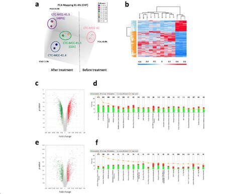 Transcriptomic Analysis Of The Nine Ctc Lines Obtained From A Patient