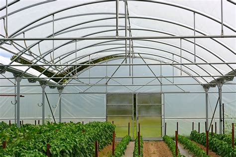 Agricultura Vertical Llegan Los Invernaderos Verticales Ethic