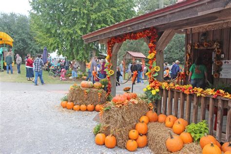 Mississippi's Top Three Fall Festivals | Our Mississippi Home