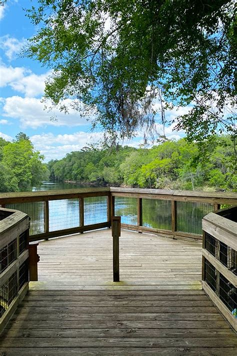 Suwannee River State Park history, Live Oak Florida — SOUTH OF SEEDS