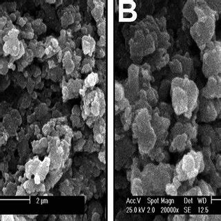 Scanning electron micrographs in different magnifications: (A and B ... 