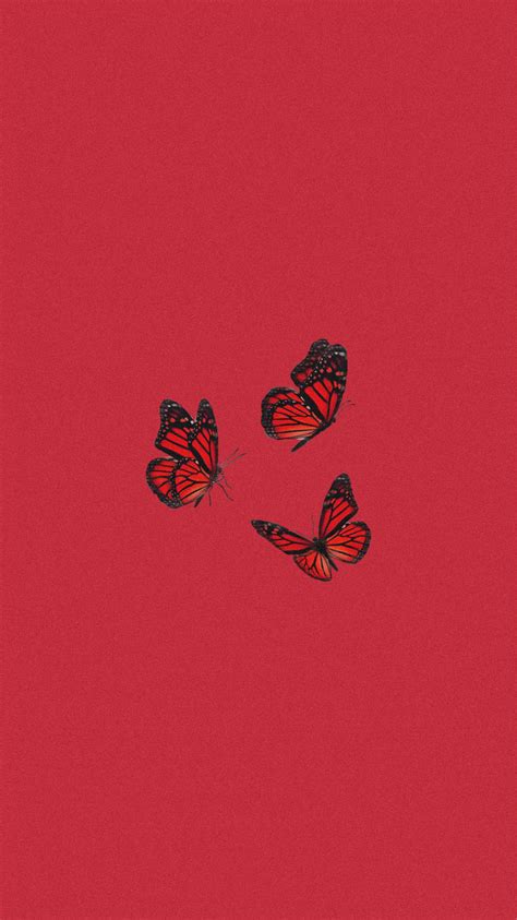 Aesthetic Wallpaper Red Butterfly : Find the best red butterfly ...